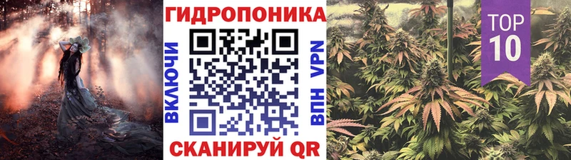 Магазины продажи наркотиков Чебоксары Кокаин Галлюциногенные грибы Меф мяу мяу ГАШ Конопля
